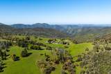 16554 Corcoran Gray Road - Photo 1