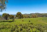 16554 Corcoran Gray Road - Photo 3