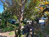 1831 Clay Street - Photo 5