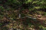 27651 Skyview Road - Photo 26