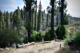 3950 Mountain Home Ranch Road - Photo 10