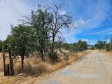 10033 Abernathy Lane - Photo 4