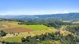 1550 Moon Mountain Road - Photo 12