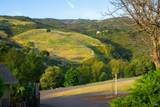 1550 Moon Mountain Road - Photo 7