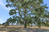 16636 Butts Canyon Road - Photo 8