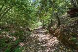 6445 Mountain View Ranch Road - Photo 11