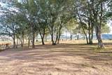 6225 Dry Creek Road - Photo 93