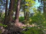 0 Drake Road - Photo 10