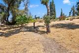 1777 Crystal Springs Court - Photo 12