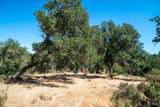 0 Mount Veeder Road - Photo 11
