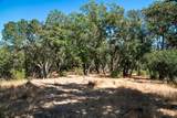0 Mount Veeder Road - Photo 12