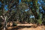 0 Mount Veeder Road - Photo 13