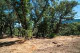0 Mount Veeder Road - Photo 14