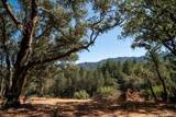 0 Mount Veeder Road - Photo 16