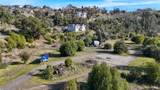 1214 Michele Way - Photo 9