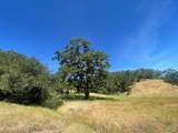 28365 Old Redwood Highway - Photo 11