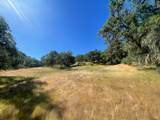 28365 Old Redwood Highway - Photo 13