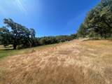 28365 Old Redwood Highway - Photo 6