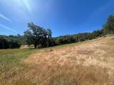 28365 Old Redwood Highway - Photo 8