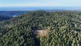 34620 Eureka Hill Road - Photo 30