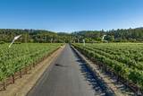 3340 Highway 128 - Photo 49