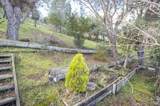 10 Fallen Leaf Drive - Photo 25