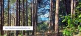 37013 Schooner Drive - Photo 3