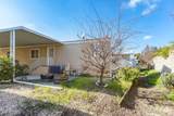 41 Lemon Tree Circle - Photo 29