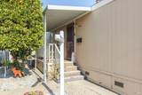 41 Lemon Tree Circle - Photo 3