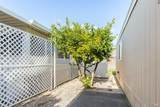 41 Lemon Tree Circle - Photo 31