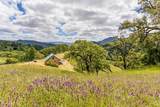 4610 Feliz Creek Road - Photo 49