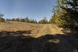 1355 Rose Avenue - Photo 5