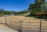 31211 Highway 128 Highway - Photo 38