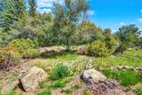3497 Soda Canyon Road - Photo 19