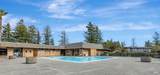 176 Sequoia Circle - Photo 34