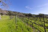 2300 Old Soda Springs Road - Photo 7