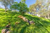 1121 Steele Canyon Road - Photo 20