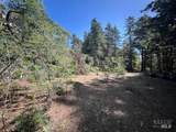 46109 Fish Rock Road - Photo 5