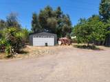 14211 Hwy 128 - Photo 29