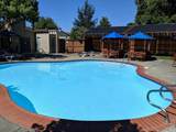 4799 Shade Tree Lane - Photo 96