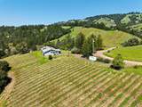 1550 Guntley Road - Photo 3