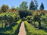 1701 Zinfandel Lane - Photo 33