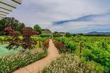 4020 Big Ranch Road - Photo 37