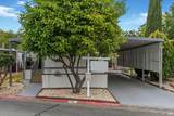 155 Lemon Tree Circle - Photo 17