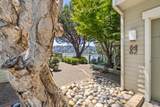 64 Eucalyptus Knoll Street - Photo 3