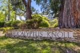 64 Eucalyptus Knoll Street - Photo 37