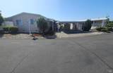 111 Estrella Drive - Photo 4