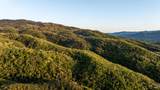 2389 Twining Road - Photo 46