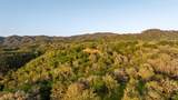 2389 Twining Road - Photo 52