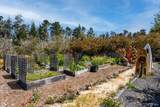 40811 Eureka Hill Road - Photo 33